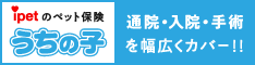 ipetのペット保険