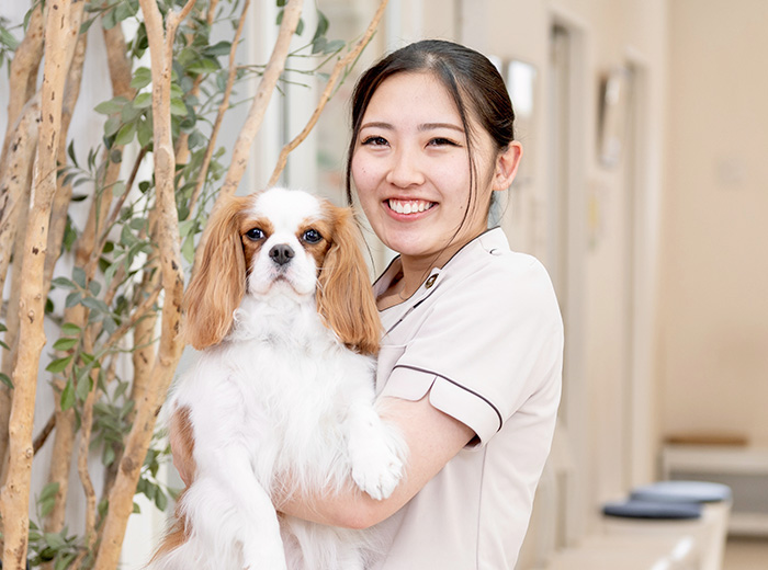 彩の森動物病院 