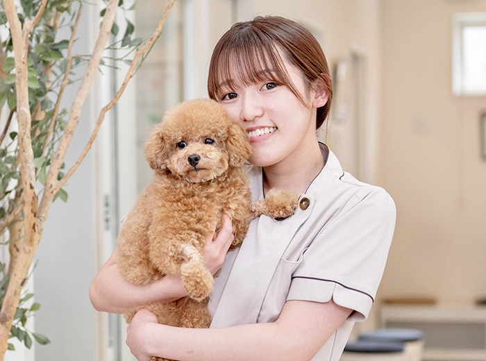 彩の森動物病院 