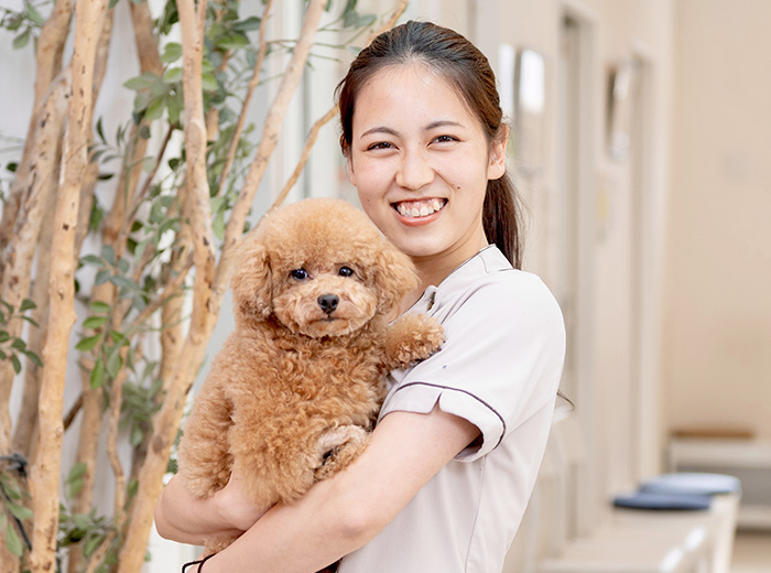 彩の森動物病院 
